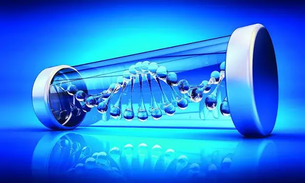 Top 10 Tools Used In Genetic Engineering In 2022 Techyv Com   10. Selection Of Small Self Replicating DNA 