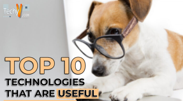 Top 10 Technologies That Are Useful For Animals