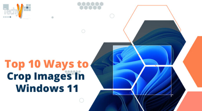 Top 10 Ways To Crop Images In Windows 11