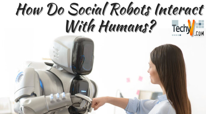 How Do Social Robots Interact With Humans?