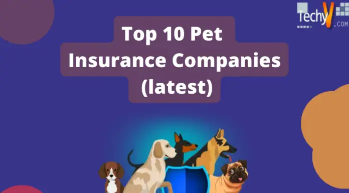Top 10 Pet Insurance Companies (latest)