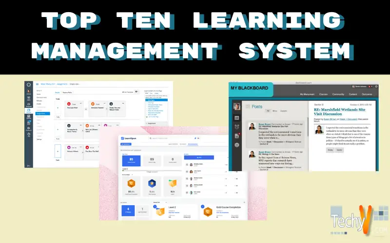 Top Ten Learning Management System - Techyv.com