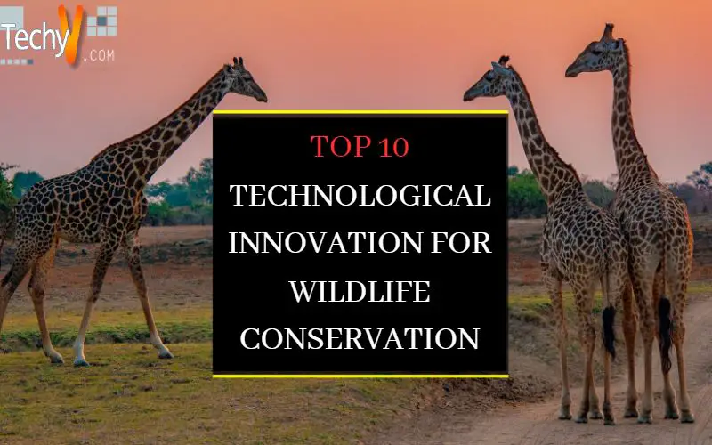 Top 10 Technological Innovation For Wildlife Conservation