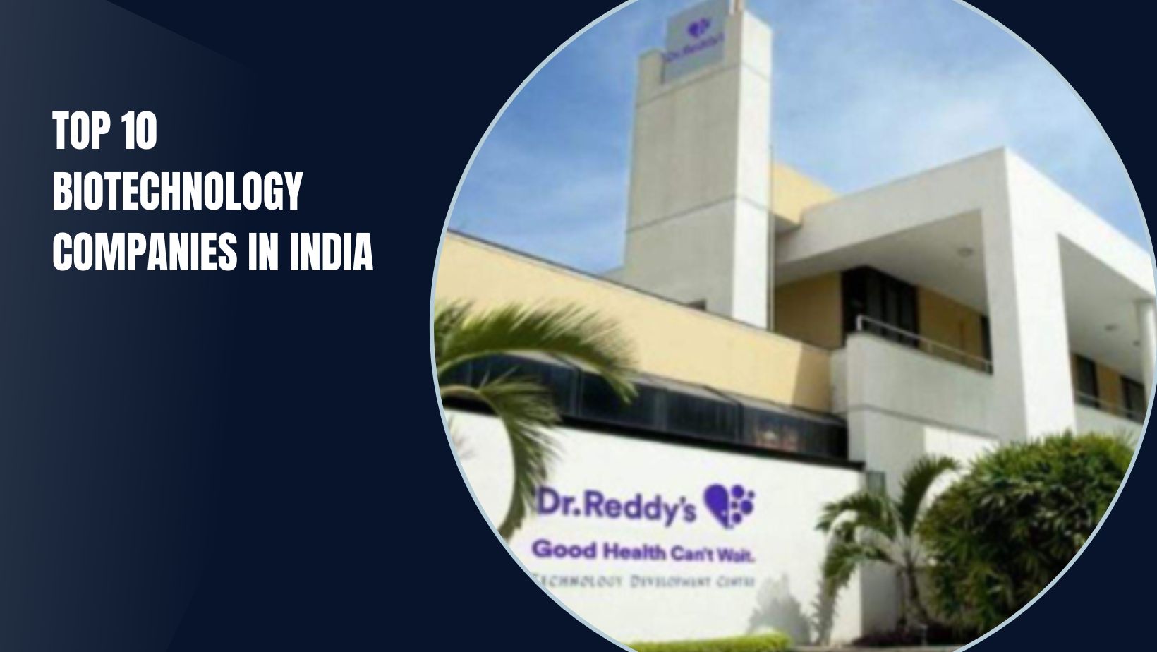 Top 10 Biotechnology Companies In India - Techyv.com