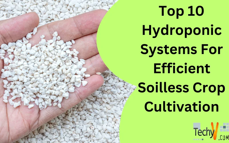 Top 10 Hydroponic Systems For Efficient Soilless Crop Cultivation
