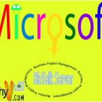 Integrated Microsoft BizTalk Server and its functions