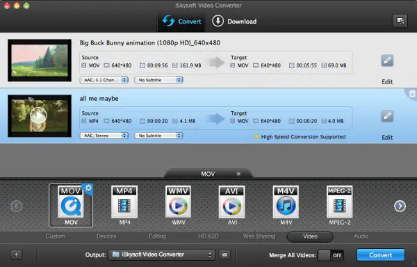 Iskysoft Video Converter