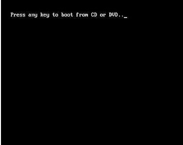 When the hit any key to run to CD or DVD display, just press any key to go to the windows XP setup.