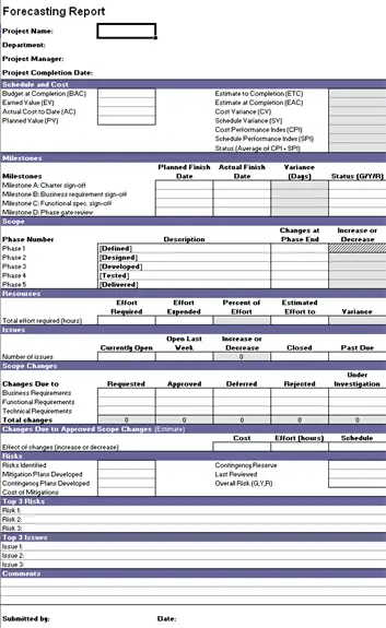 Microsoft Excel Template