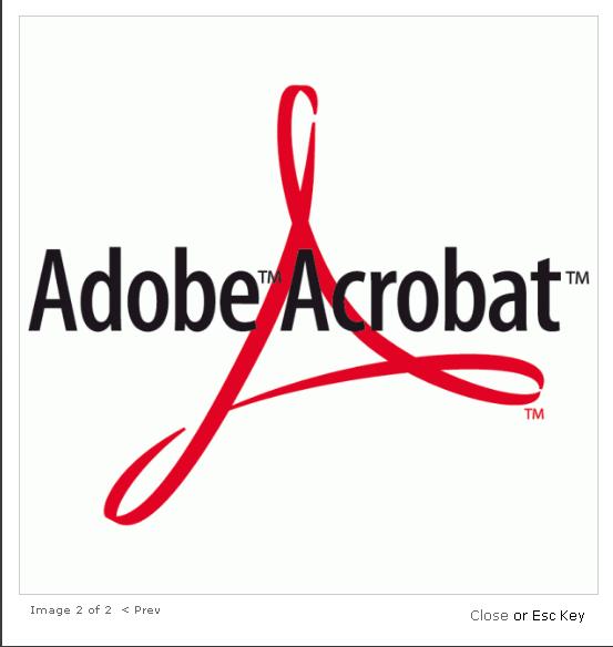 adobe acrobat reader dc install issue