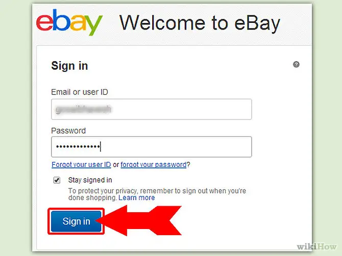 ebay help