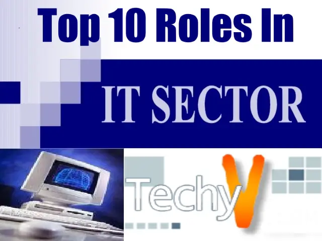 Top 10 Roles In An It Sector