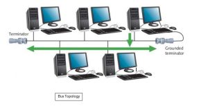 bus topology