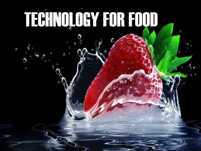 essay on food technologies