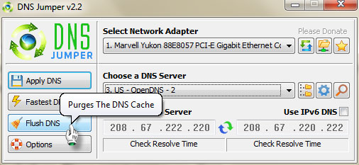 Click Flush DNS