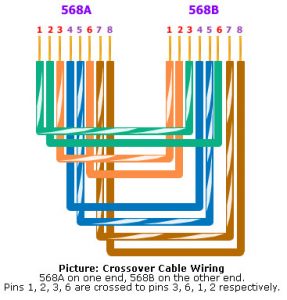 Need some help in networking - Techyv.com