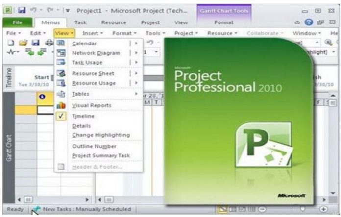 ms project file type